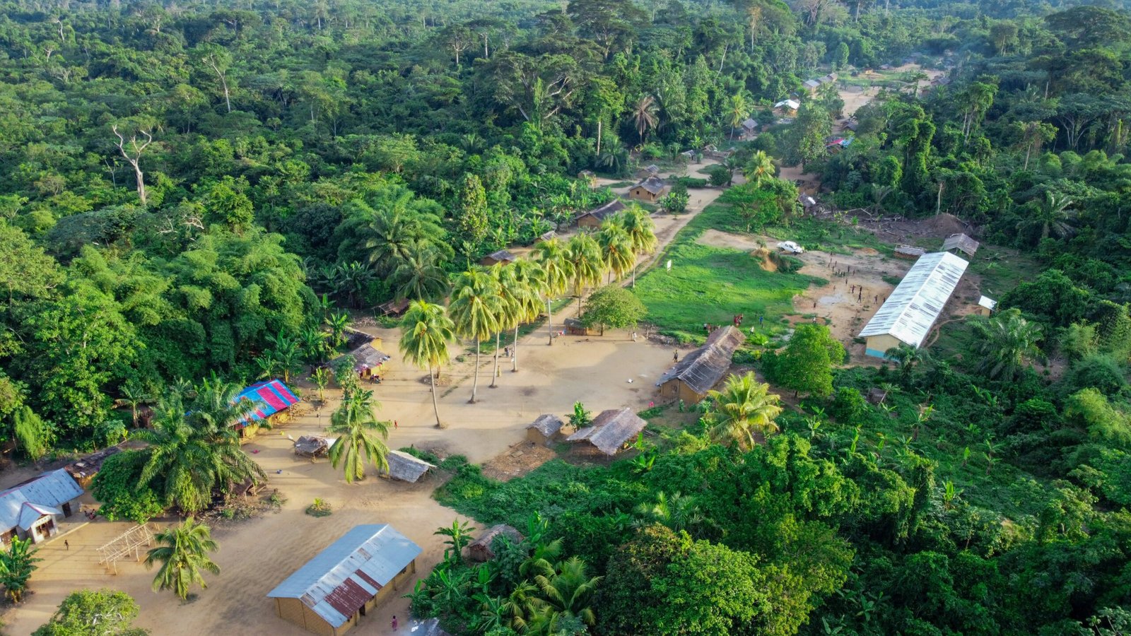 Illustration — Organisation